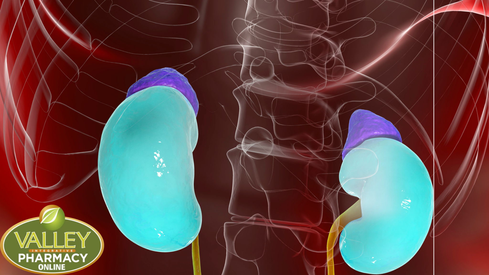 Managing Adrenal Health: Nutritional Supplements and Holistic Approach