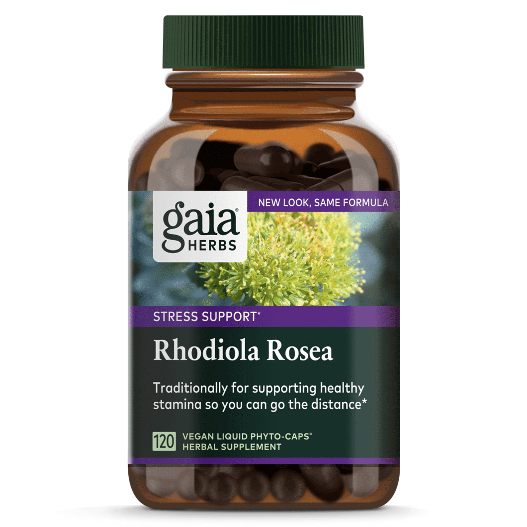Rhodiola Rosea
