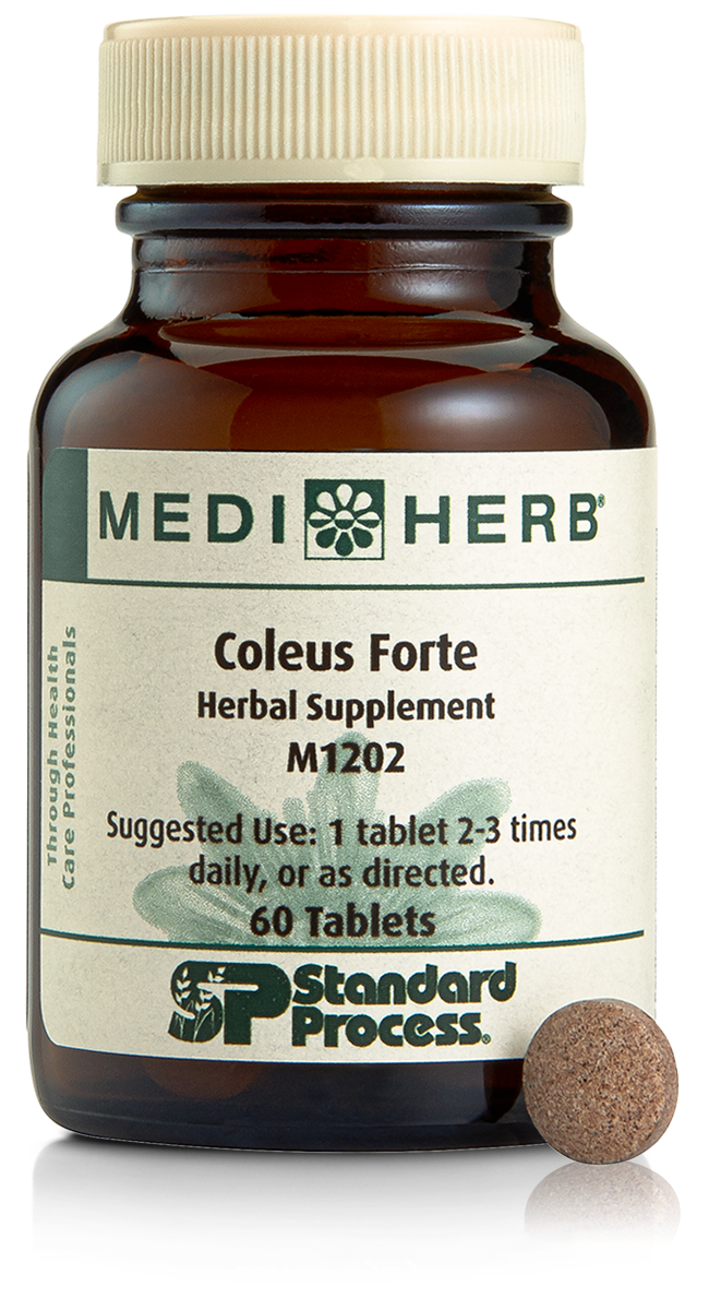 Coleus Forte