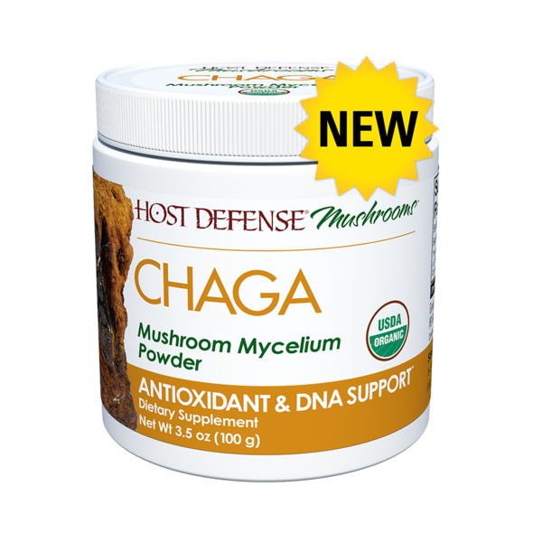 Chaga Mushroom Mycelium Powder